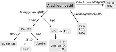 Frontiers Pathomechanisms of AERD Recent Advances